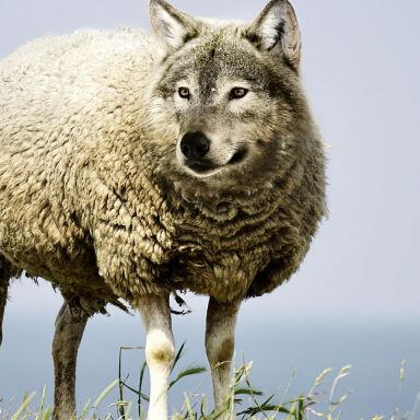 Managing Insider Threats with ISO 27001:2022 Wolf in sheep's clothing